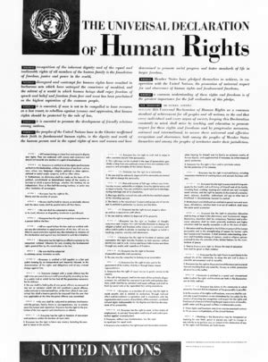 Universal Declaration of Human Rights Regular English Version.